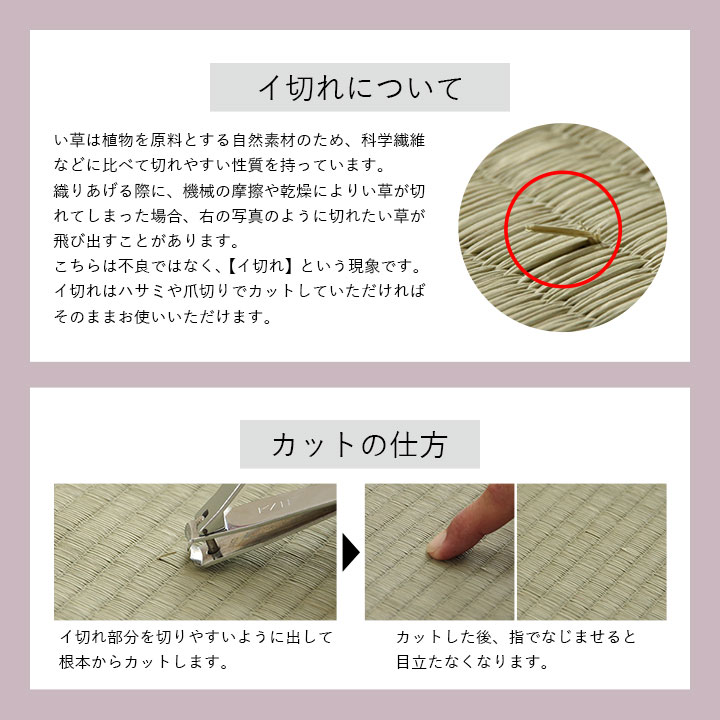 イケヒコ クッション ポコポコシート い草 チェック柄 調湿 空気清浄 お手入れ簡単 ベージュ 約40×40cm 1142260022602【代引き不可】【北海道沖縄離島は配送不可】-お取り寄せ品-