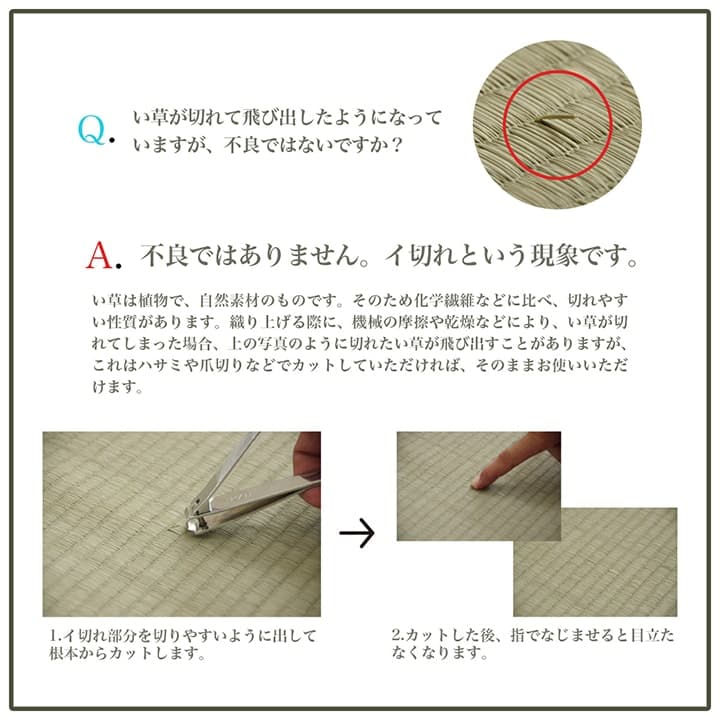 �����ҥ� �饰 ������ ���� �����Ǻ� ����ץ� �ܡ����� ΢�̤��٤�ߤ��դ� ���ˤ��� �����ɽ� ���꡼�� ��4.5�� ��240��240cm 1070010125411��������Բġۡ��̳�ƻ����Υ��������Բġ�-��������-