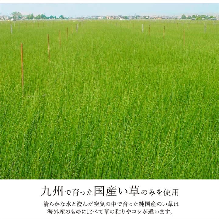 �����ҥ� �饰 Ĺ���� �� ������ �ʥ����륹������ ���� �ý� �����ɽ� ���ߤ� �ɱ� �Ծ� �֥饦�� ��140��200cm 1051020062303��������Բġۡ��̳�ƻ����Υ��������Բġ�-��������-