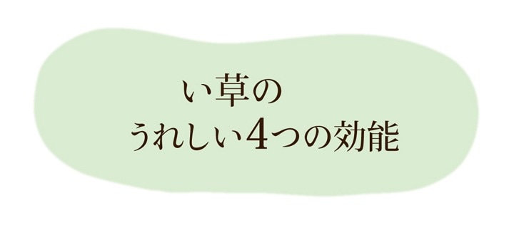 イケヒコ 純国産 い草ごろ寝マット 『さわやか R縁Jrマット』 ブルー 約70×120cm(中:固わた15mm) 1120820046901【代引き不可】【北海道沖縄離島は配送不可】-お取り寄せ品-