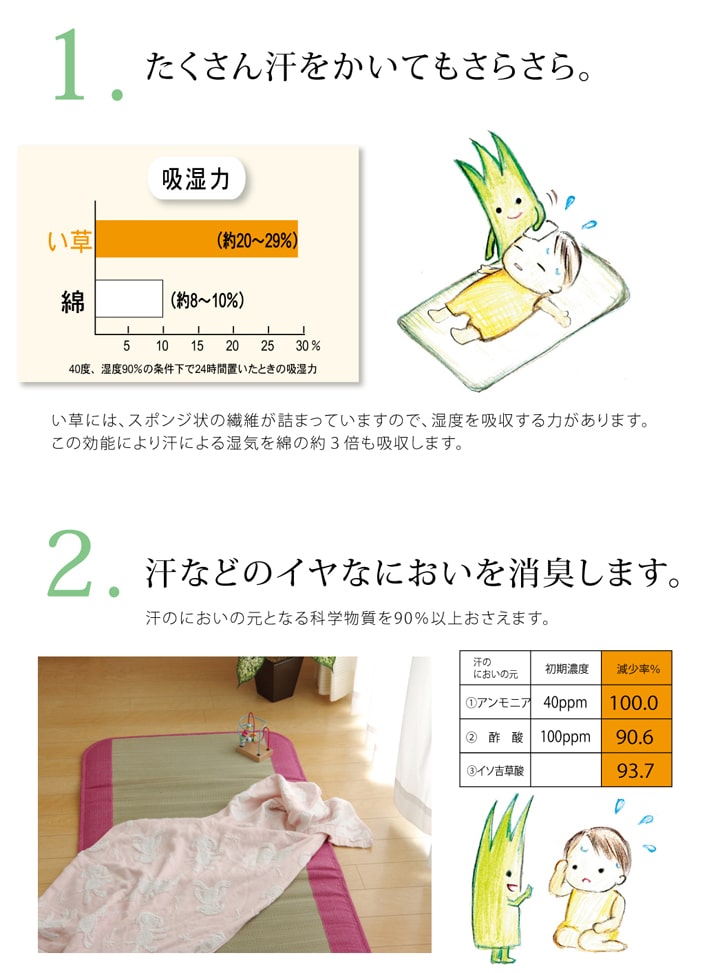 イケヒコ 純国産 い草ごろ寝マット 『さわやか R縁Jrマット』 ブルー 約70×120cm(中:固わた15mm) 1120820046901【代引き不可】【北海道沖縄離島は配送不可】-お取り寄せ品-