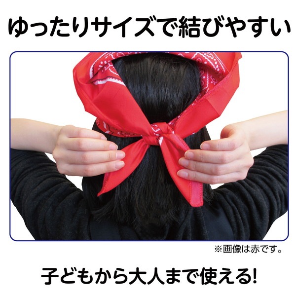 ARTEC �����ƥå� �Х���� �ָ��ԥ� 10�祻�å� ��ư��ȯɽ�񎥎��͎ގݎ� 17554 �ڥ���󥻥��Բġ��̳�ƻ����Υ�������Բġ�-��������-