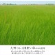 �����ҥ� �饰 ������ �� ������ �ʥ����륹������ ���� �ý� �����ɽ� ���ߤ� �ɱ� �Ծ� �֥�å� ��191��191cm 1051020033604��������Բġۡ��̳�ƻ����Υ��������Բġ�-��������-