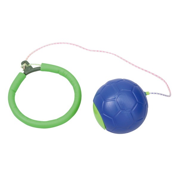 ARTEC �����ƥå� �ӥå��ܡ��륹���åץ֥롼 ���̴�� 6846 �ڥ���󥻥��Բġ��̳�ƻ����Υ�������Բġ�-��������-