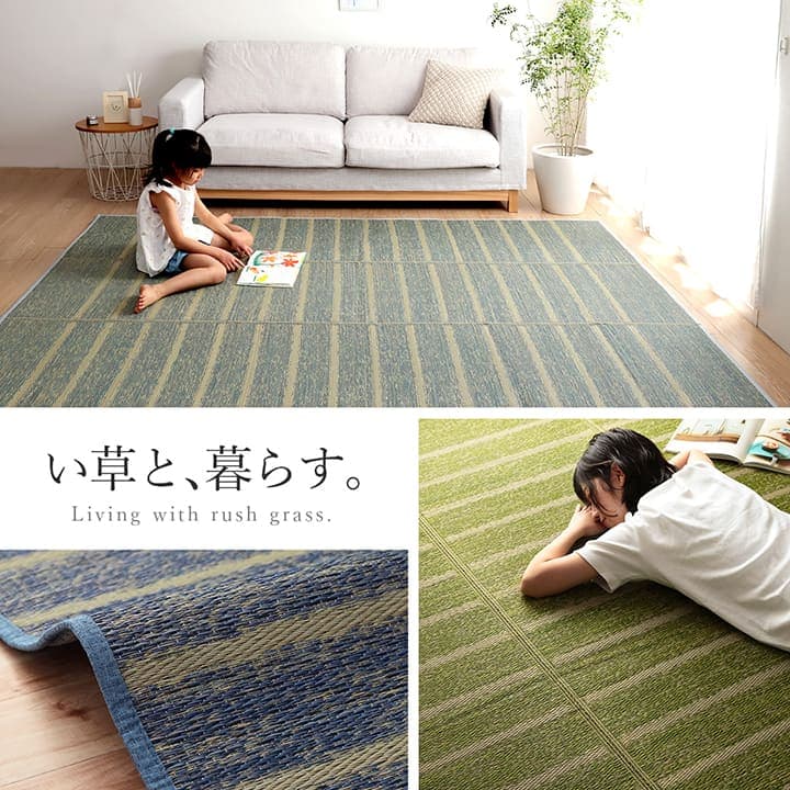 イケヒコ ラグ 長方形 い草 自然素材 シンプル ボーダー 裏面すべり止め付き 滑りにくい 抗菌防臭 グリーン 約6畳 約240×320cm 1070010125811【代引き不可】【北海道沖縄離島は配送不可】-お取り寄せ品-