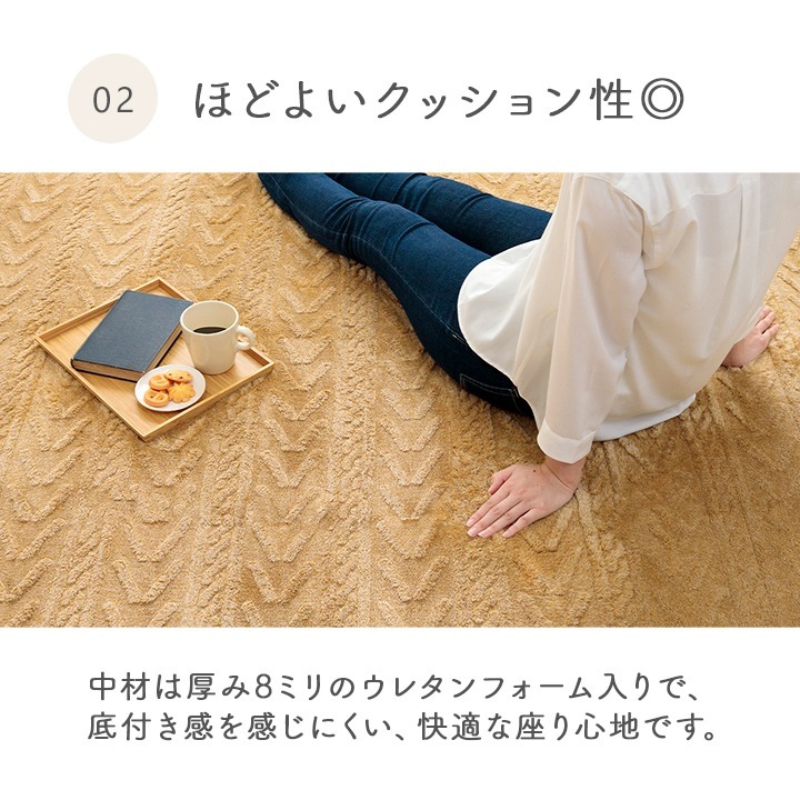 �����ҥ� �饰 �����ڥå� ̵�ϥ饰 ̵�ϥ����ڥå� �ܥ�塼��饰 �ե��ͥ� ���å��� ������ �١����� ��200��240cm ��3�� �ۥåȥ��С��б� ����˼�б� 1280900021303��������Բġۡ��̳�ƻ����Υ��������Բġ�-��������-