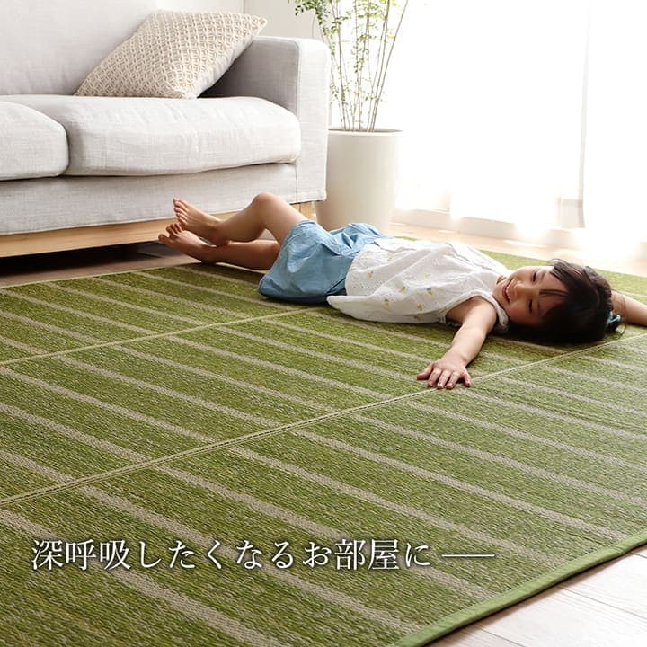 �����ҥ� �饰 Ĺ���� ���� �����Ǻ� ����ץ� �ܡ����� ΢�̤��٤�ߤ��դ� ���ˤ��� �����ɽ� ���졼 ��6�� ��240��320cm 1070010135811��������Բġۡ��̳�ƻ����Υ��������Բġ�-��������-