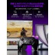 LEADJOY �磻��쥹�����ॳ��ȥ����顼 XENO-PLUS-COMBO ������TMR���ƥ��å� JS13 PRO�⥸�塼�� ��� / ���ťɥå���° ����ܥ�ǥ� / ���󥹥���� ���ȥåץ⡼���� ��ư��ǽ Ϣ�͵�ǽ / ͭ�� ̵���Υǥ奢��⡼�ɡڥ���󥻥��Բġ��̳�ƻ����Υ�������Բġ� -������-