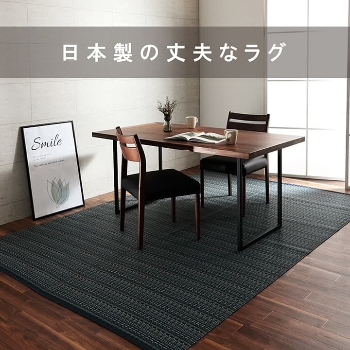 イケヒコ 洗える カーペット ダイニング ラグ 敷詰 丈夫 日本製 国産 除菌スプレー対応 アウトドア ペット ブラウン 本間1畳(約95.5×191cm) 1090031061502【代引き不可】【北海道沖縄離島は配送不可】-お取り寄せ品-