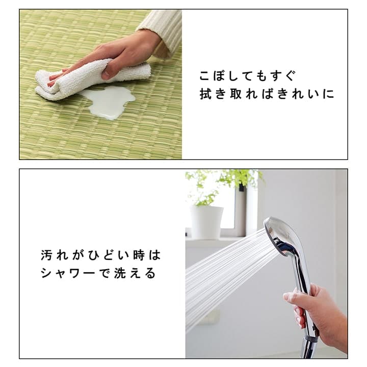 イケヒコ 洗える カーペット ダイニング ラグ 敷詰 丈夫 日本製 国産 除菌スプレー対応 アウトドア ペット ブラウン 本間1畳(約95.5×191cm) 1090031061502【代引き不可】【北海道沖縄離島は配送不可】-お取り寄せ品-