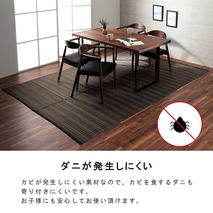 イケヒコ 洗える カーペット ダイニング ラグ 敷詰 丈夫 日本製 国産 除菌スプレー対応 アウトドア ペット ブラウン 本間1畳(約95.5×191cm) 1090031061502【代引き不可】【北海道沖縄離島は配送不可】-お取り寄せ品-