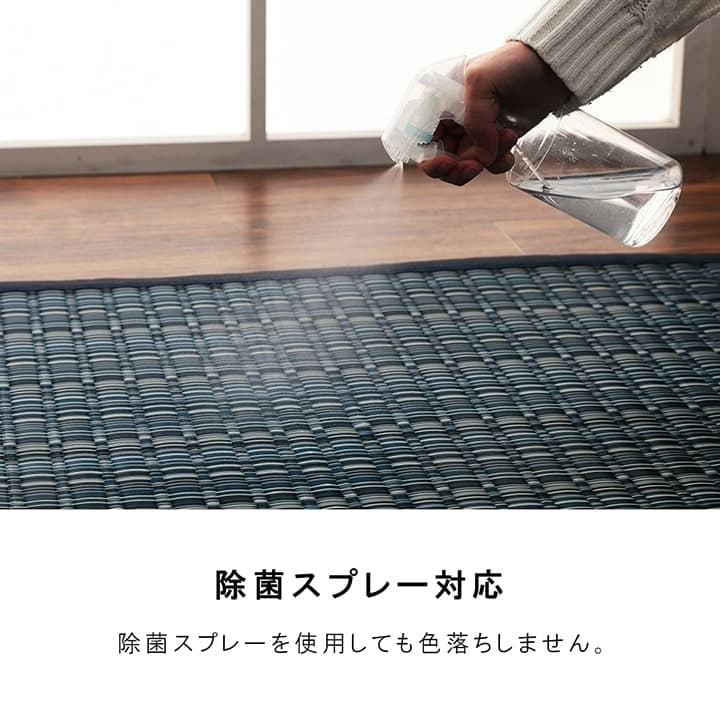 イケヒコ 洗える カーペット ダイニング ラグ 敷詰 丈夫 日本製 国産 除菌スプレー対応 アウトドア ペット ブラウン 本間1畳(約95.5×191cm) 1090031061502【代引き不可】【北海道沖縄離島は配送不可】-お取り寄せ品-