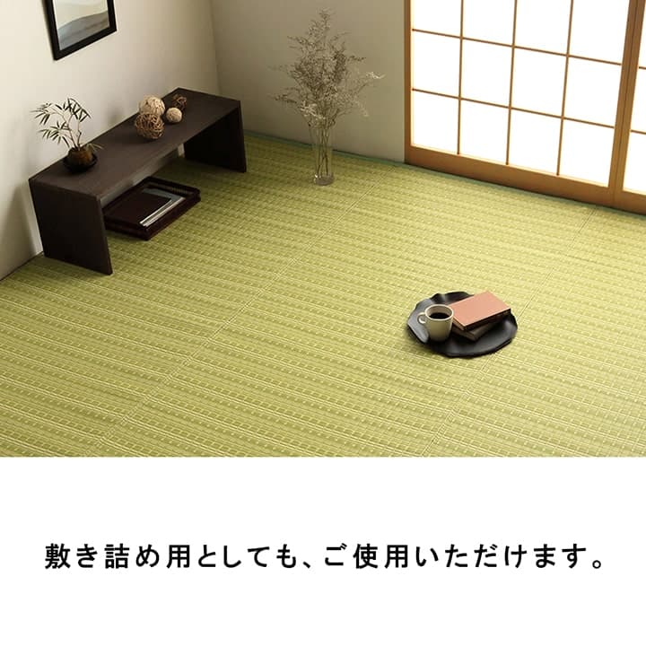 イケヒコ 洗える カーペット ダイニング ラグ 敷詰 丈夫 日本製 国産 除菌スプレー対応 アウトドア ペット ブラウン 本間1畳(約95.5×191cm) 1090031061502【代引き不可】【北海道沖縄離島は配送不可】-お取り寄せ品-