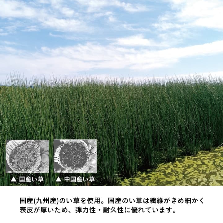 �����ҥ� �֤��� ���� ������ �ý� �����ɽ� ������������ ̵�� ��82��82��1.8cm ñ�� 1111530010201��������Բġۡ��̳�ƻ����Υ��������Բġ�-��������-