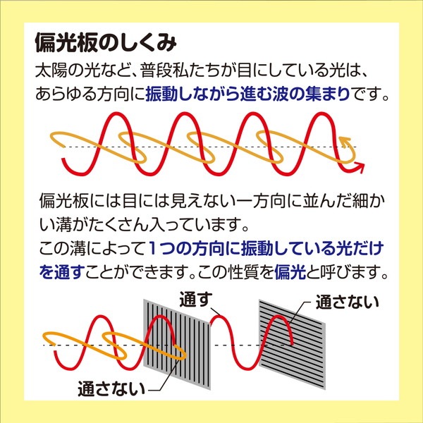 ARTEC アーテック 偏光板 科学工作 55829 【キャンセル不可・北海道沖縄離島配送不可】-お取り寄せ品-