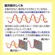 ARTEC アーテック 偏光板 科学工作 55829 【キャンセル不可・北海道沖縄離島配送不可】-お取り寄せ品-