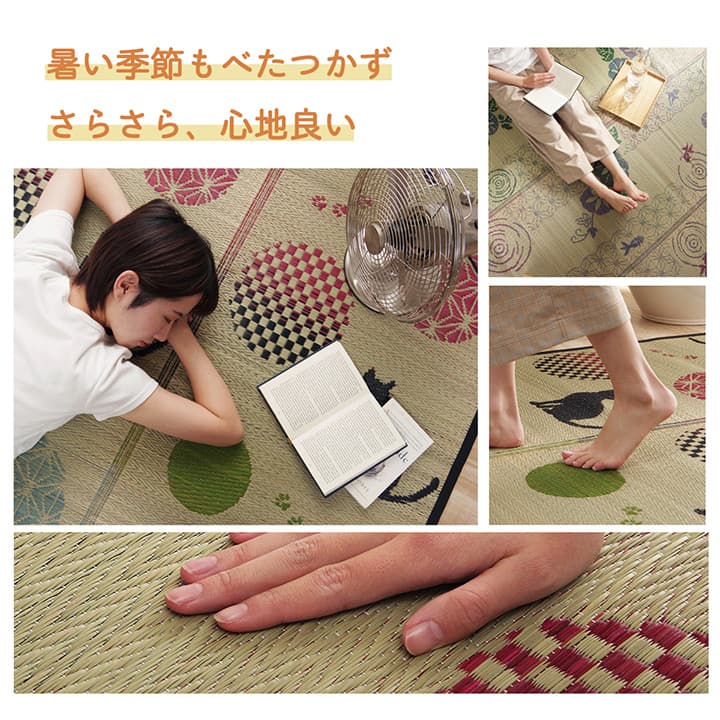 �����ҥ� �饰 ���� ��� �� ��ʪ�� ����ѥ��� ���ߤ��Կ��� �����Ǻ� �����ɽ� ��180��240cm 1060530014104��������Բġۡ��̳�ƻ����Υ��������Բġ�-��������-