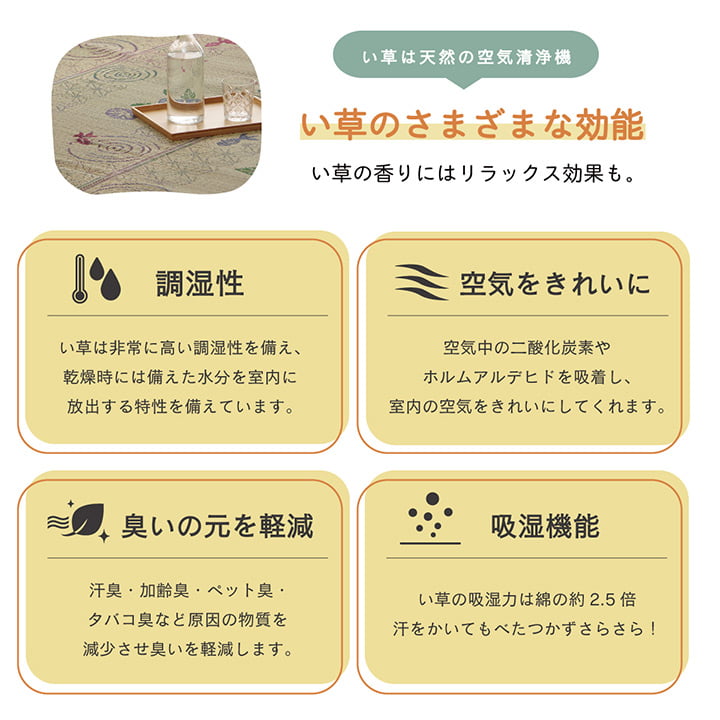 �����ҥ� �饰 ���� ��� �� ��ʪ�� ����ѥ��� ���ߤ��Կ��� �����Ǻ� �����ɽ� ��180��240cm 1060530014104��������Բġۡ��̳�ƻ����Υ��������Բġ�-��������-