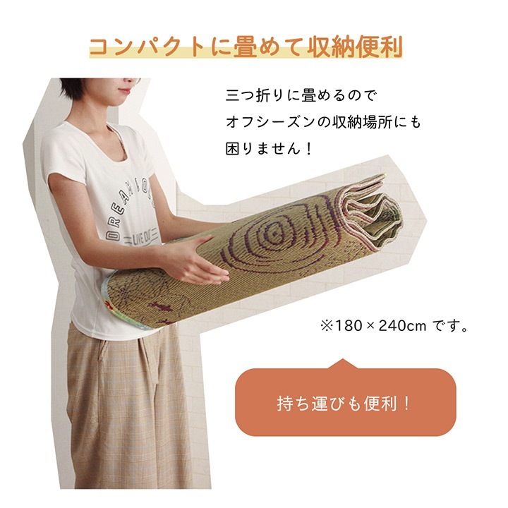 �����ҥ� �饰 ���� ��� �� ��ʪ�� ����ѥ��� ���ߤ��Կ��� �����Ǻ� �����ɽ� ��180��240cm 1060530014104��������Բġۡ��̳�ƻ����Υ��������Բġ�-��������-