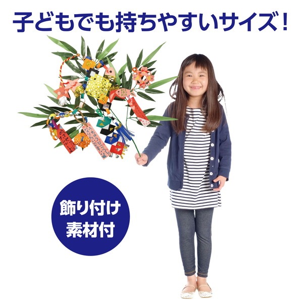 ARTEC アーテック 七夕個人セット 季節商品 1570 【キャンセル不可・北海道沖縄離島配送不可】-お取り寄せ品-