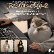 Bauhutte �ˤ�󥬥롼�ѡ�����2 L������ BPA-001-L-BK �֥�å� �Х��ҥ�å� ��������������ꡦ����󥻥��Բġ��̳�ƻ����Υ�������Բġ� -�᡼����ľ��- ���᡼�����߸˷�����