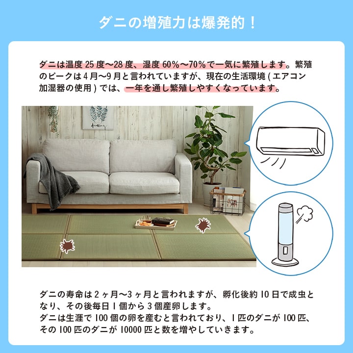 イケヒコ 置き畳 い草 日本製 消臭 抗菌防臭 ダニ増殖抑制 無地 約82×82×1.8cm 6P 6枚組 1111530010205【代引き不可】【北海道沖縄離島は配送不可】-お取り寄せ品-