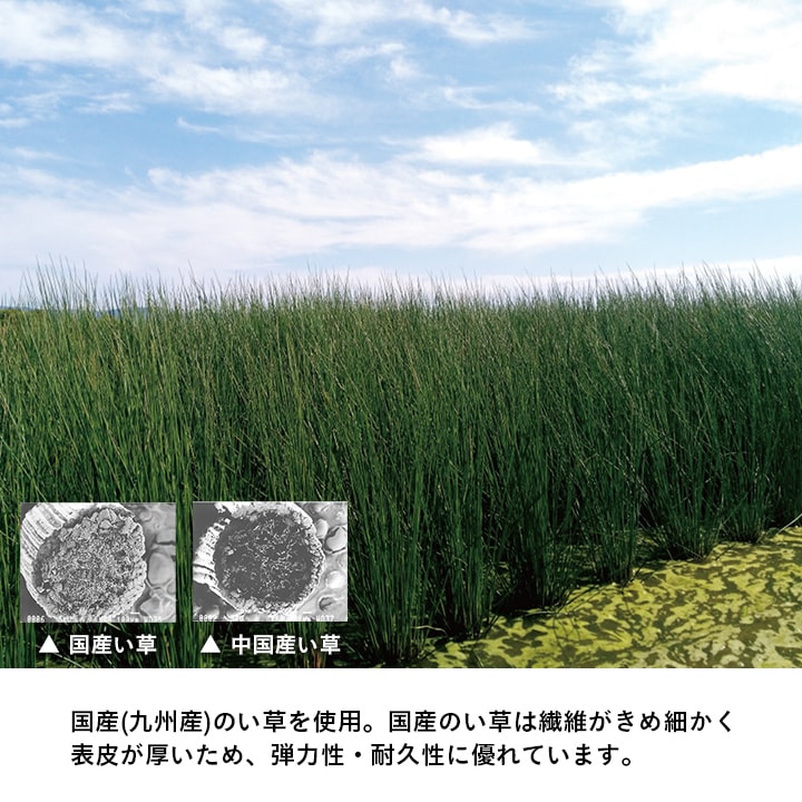 イケヒコ 置き畳 い草 日本製 消臭 抗菌防臭 ダニ増殖抑制 無地 約82×82×1.8cm 6P 6枚組 1111530010205【代引き不可】【北海道沖縄離島は配送不可】-お取り寄せ品-