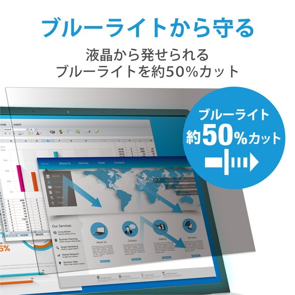 ELECOM エレコム EF-PFK125W 覗き見防止フィルム プライバシーフィルター 12.5Wインチ 抗菌 ブルーライトカット 帯電防止仕様【キャンセル不可・北海道沖縄離島配送不可】