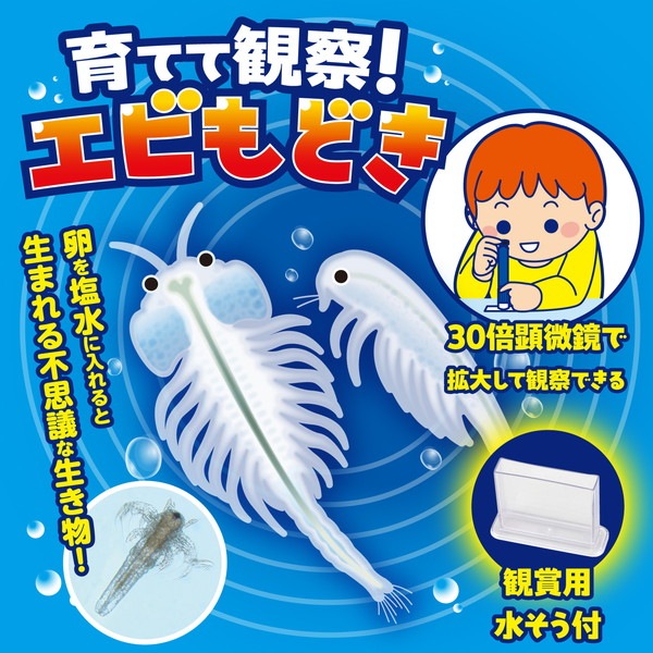 ARTEC �����ƥå� ��Ƥƴѻ�!���Ӥ�ɤ� �޹���������׎̎Ď��Ύˎގ� 58486 �ڥ���󥻥��Բġ��̳�ƻ����Υ�������Բġ�-��������-