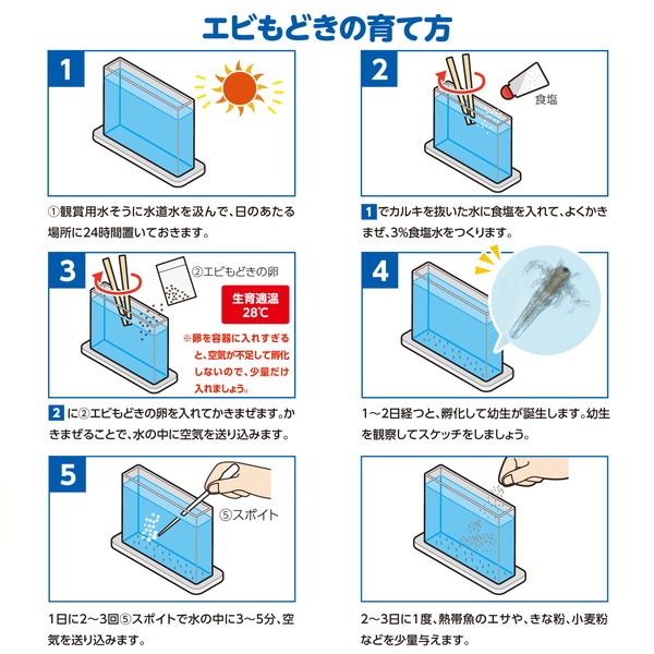 ARTEC �����ƥå� ��Ƥƴѻ�!���Ӥ�ɤ� �޹���������׎̎Ď��Ύˎގ� 58486 �ڥ���󥻥��Բġ��̳�ƻ����Υ�������Բġ�-��������-