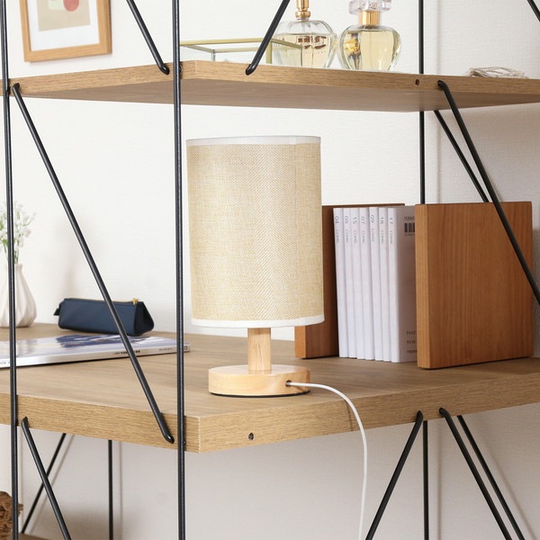 不二貿易 EZBO ワイヤーデスク NA 商品コード51413 【代引・日時指定・キャンセル不可・北海道沖縄離島配送不可】 -お取リ寄せ-