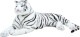 �����ǰ� �ۥ磻�ȥ������� 220CM HCT220WH ���ʥ�����13904��������������ꎥ����󥻥��ԲĎ��̳�ƻ����Υ�������Բġ�  -������-