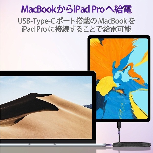 ELECOM エレコム MPA-CCS20PNBK スマホ・タブレット用USBケーブル USB(C-C) 高耐久 USB Power Delivery対応 認証品 2.0m ブラック 【キャンセル不可・北海道沖縄離島配送不可】