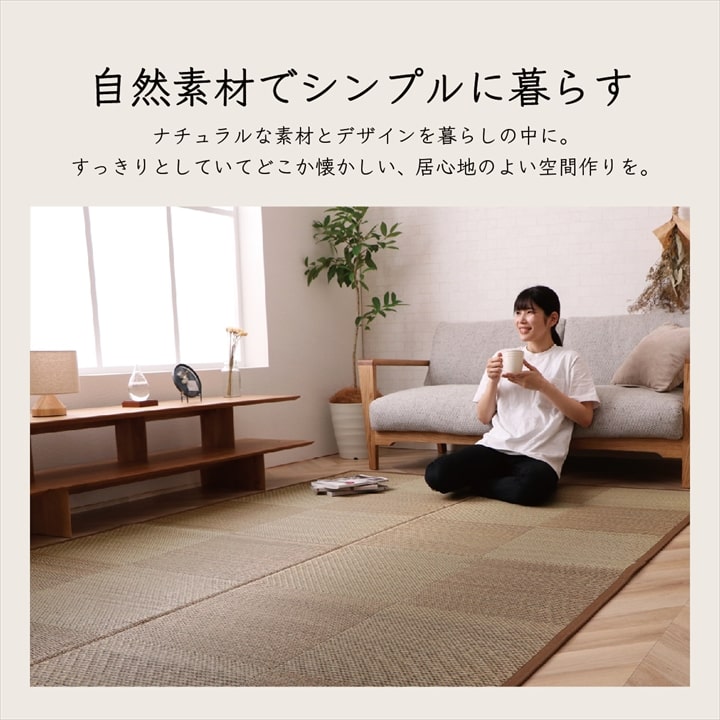 �����ҥ� �����ڥå� ���� ������ �� �ߵ� �饰 ��ʪ �ʥ����륹������ ���� �ý� �����ɽ� ���ߤ� �ɱ� �Ծ� �֥饦�� ���ʹ�3������174��261cm�� 1080390060302��������Բġۡ��̳�ƻ����Υ��������Բġ�-��������-
