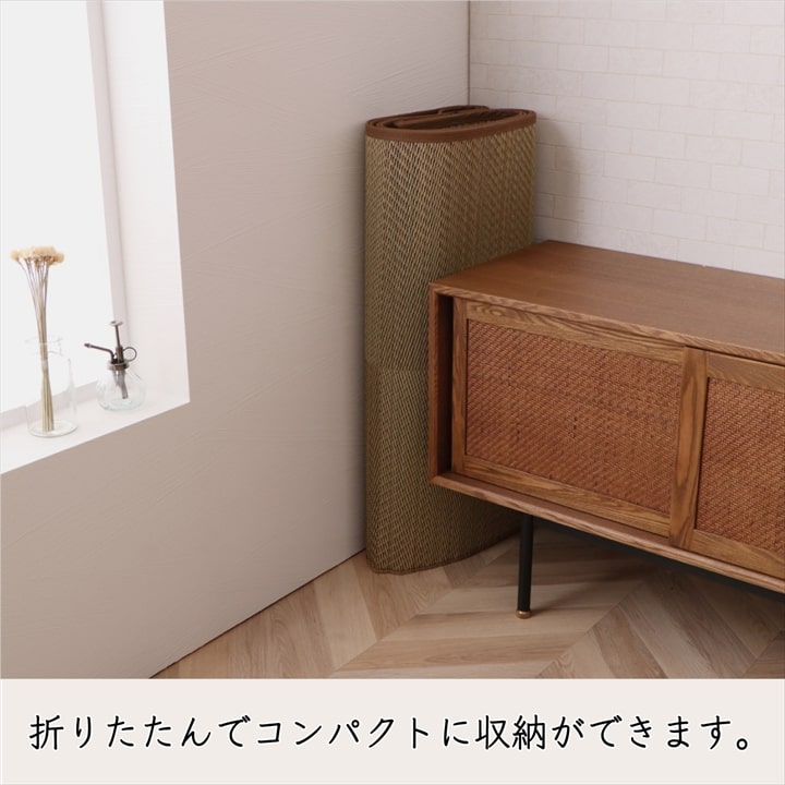 �����ҥ� �����ڥå� ���� ������ �� �ߵ� �饰 ��ʪ �ʥ����륹������ ���� �ý� �����ɽ� ���ߤ� �ɱ� �Ծ� �֥饦�� ���ʹ�3������174��261cm�� 1080390060302��������Բġۡ��̳�ƻ����Υ��������Բġ�-��������-