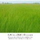 �����ҥ� �����ڥå� ���� ������ �� �ߵ� �饰 ��ʪ �ʥ����륹������ ���� �ý� �����ɽ� ���ߤ� �ɱ� �Ծ� �֥饦�� ���ʹ�3������174��261cm�� 1080390060302��������Բġۡ��̳�ƻ����Υ��������Բġ�-��������-