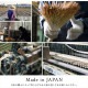 �����ҥ� �����ڥå� ���� ������ �� �ߵ� �饰 ��ʪ �ʥ����륹������ ���� �ý� �����ɽ� ���ߤ� �ɱ� �Ծ� �֥饦�� ���ʹ�3������174��261cm�� 1080390060302��������Բġۡ��̳�ƻ����Υ��������Բġ�-��������-