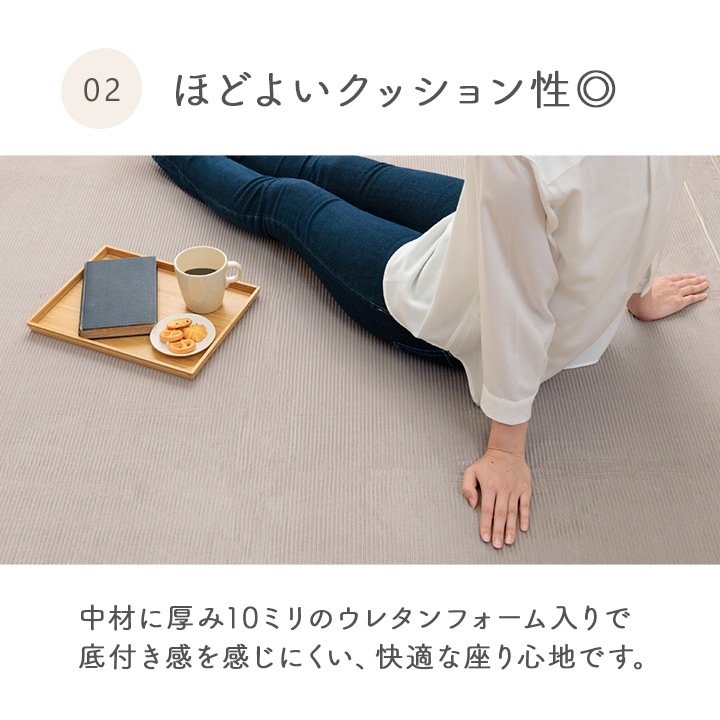 �����ҥ� �饰 �����ڥå� ̵�ϥ饰 ̵�ϥ����ڥå� �ܥ�塼��饰 �ե��ͥ� ���å��� ���ȥ饤�� ���ߤ� �������� ��180��240cm ��2�� 1280830291303��������Բġۡ��̳�ƻ����Υ��������Բġ�-��������-
