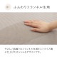 �����ҥ� �饰 �����ڥå� ̵�ϥ饰 ̵�ϥ����ڥå� �ܥ�塼��饰 �ե��ͥ� ���å��� ���ȥ饤�� ���ߤ� �������� ��180��240cm ��2�� 1280830291303��������Բġۡ��̳�ƻ����Υ��������Բġ�-��������-