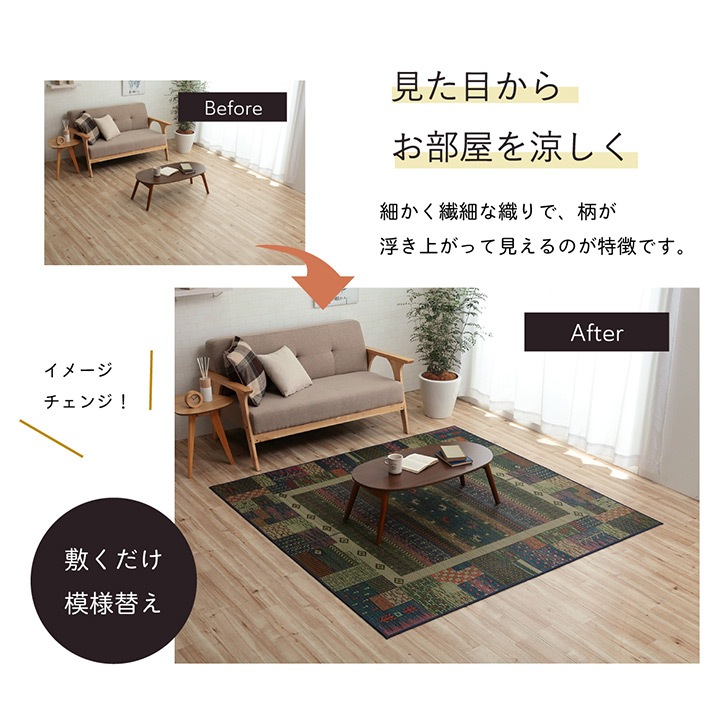 �����ҥ� �饰 ���� ����� �����Ǻ� �����ɽ� ���ߤ��Կ��� �֥饦�� ��191��250cm 1060810064304��������Բġۡ��̳�ƻ����Υ��������Բġ�-��������-