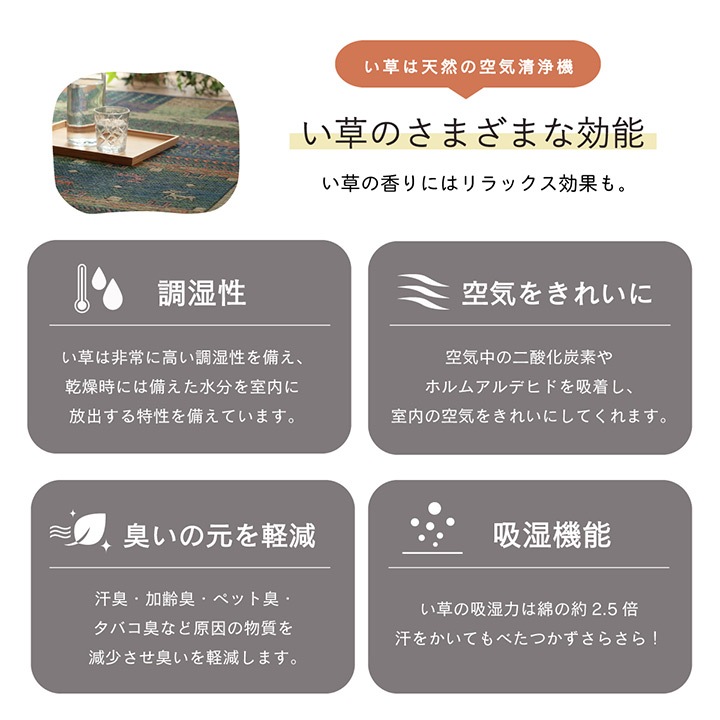 �����ҥ� �饰 ���� ����� �����Ǻ� �����ɽ� ���ߤ��Կ��� �֥饦�� ��191��250cm 1060810064304��������Բġۡ��̳�ƻ����Υ��������Բġ�-��������-