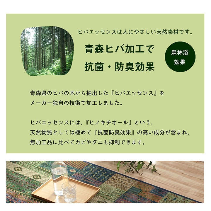 �����ҥ� �饰 ���� ����� �����Ǻ� �����ɽ� ���ߤ��Կ��� �֥饦�� ��191��250cm 1060810064304��������Բġۡ��̳�ƻ����Υ��������Բġ�-��������-