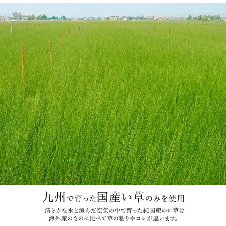 �����ҥ� �����ڥå� ���� ������ �� �ߵ� �饰 ��ʪ �ʥ����륹������ ���� �ý� �����ɽ� ���ߤ� �ɱ� �Ծ� �֥饦�� ���ʹ�6������261��352cm�� 1080390060602��������Բġۡ��̳�ƻ����Υ��������Բġ�-��������-