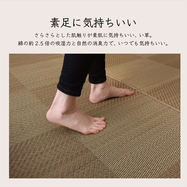 �����ҥ� �����ڥå� ���� ������ �� �ߵ� �饰 ��ʪ �ʥ����륹������ ���� �ý� �����ɽ� ���ߤ� �ɱ� �Ծ� �֥饦�� ���ʹ�6������261��352cm�� 1080390060602��������Բġۡ��̳�ƻ����Υ��������Բġ�-��������-