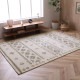�����ҥ� ���ɥ��� ������ȥ󿥤� �����ڥå� ���餫���å� �����ܥ꡼ ��80��140cm 1320320010101��������Բġۡ��̳�ƻ����Υ��������Բġ�-��������-
