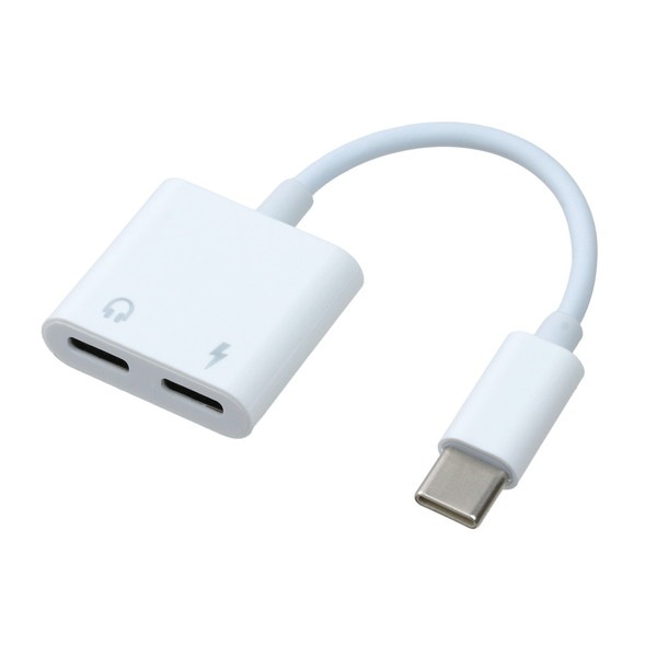 ARTEC �����ƥå� Type-C 2in1 ����&����ۥ��Ѵ������ץ� ���̎������̎ߎ׎���ICT��OA 91427 �ڥ���󥻥��Բġ��̳�ƻ����Υ�������Բġ�-��������-
