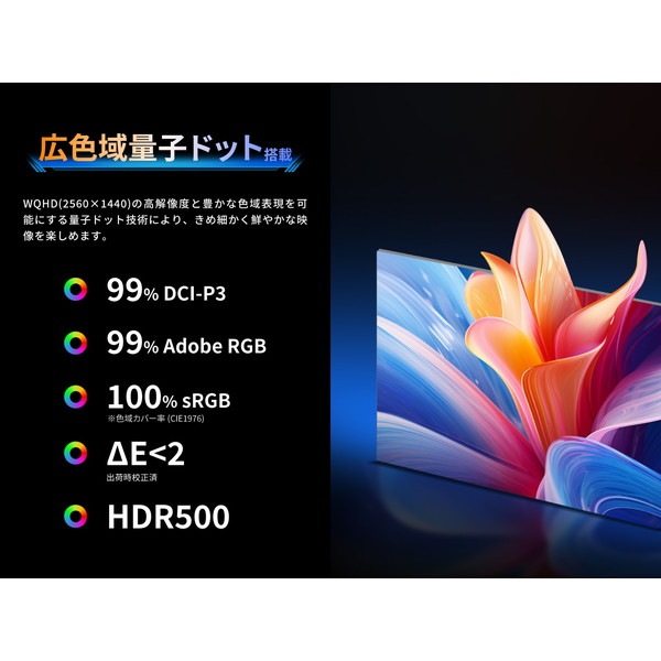 TitanArmy ゲーミングモニター P2710R-QD 27インチ FAST IPS&QDLED 三辺ベゼルレス ノングレア【キャンセル不可・北海道沖縄離島配送不可】