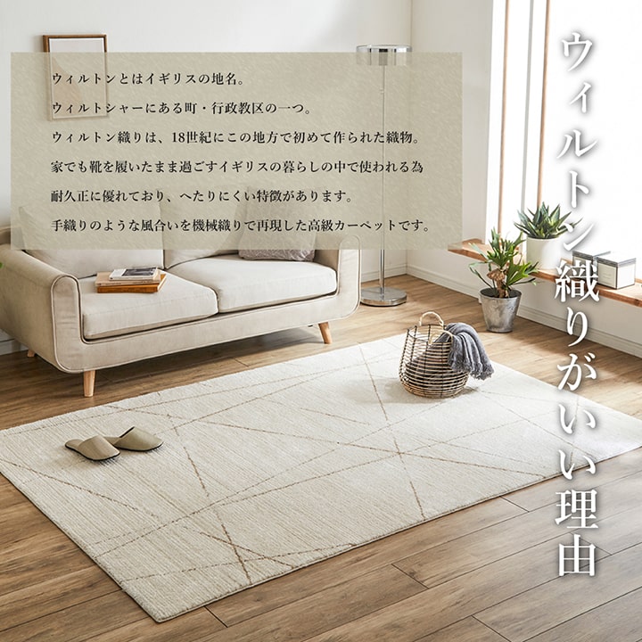 �����ҥ� ���ɥ��� ������ȥ󿥤� �����ڥå� ���餫���å� �����ܥ꡼ ��200��250cm 1320550010601��������Բġۡ��̳�ƻ����Υ��������Բġ�-��������-