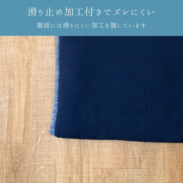 イケヒコ ペット・アウトドア アクア ネイビー 50×70cm 手洗い ペット用布団 冷感生地 ひんやり g1190203 1250071190203 【代引き不可】【北海道沖縄離島は配送不可】-お取り寄せ品-