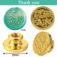 ARTEC �����ƥå� ������󥰥�å���������ץإå� Thank you ���� 74615 �ڥ���󥻥��Բġ��̳�ƻ����Υ�������Բġ�-��������-